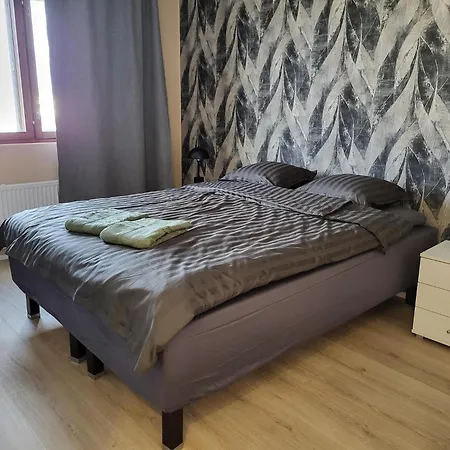 A Peaceful And Modern Gem In The Heart Of The Apartamento